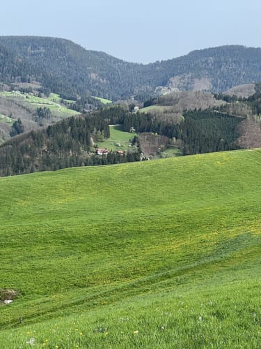 Harmersbacher Vesperweg (Genießerpfad)