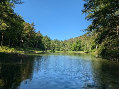 Zum Schloßberg