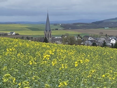 Nette-Schieferpfad (Traumpfad)