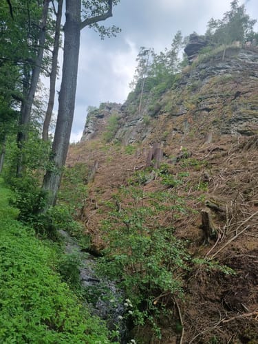 Spittergrund - Ebertswiese - Bergsee Rundweg