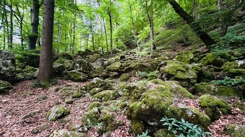 Zum Schloss Lichtenstein und der Ruine