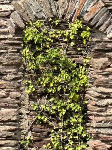 Von Zell zum Collis-Turm