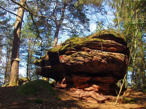 Wernersberg zu den Ferkelsteinen