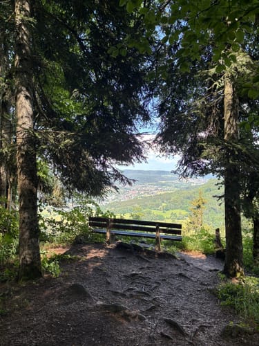 Hossinger Leiter (Premiumwanderweg)