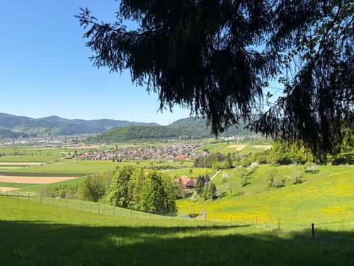 Schippenwald Tour
