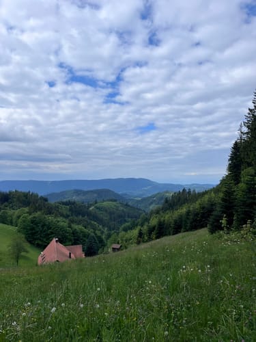 Allerheiligen-Wasserfall zum Schliffkopf Rundweg
