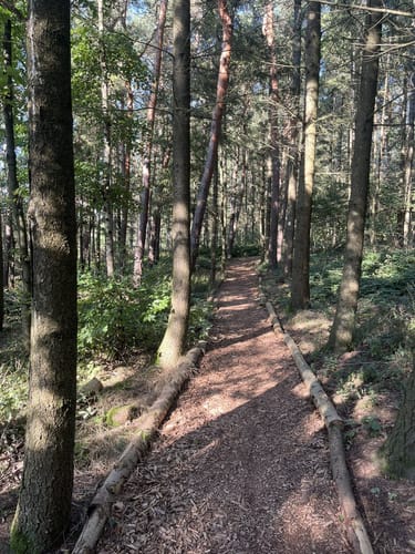 Moselsteig Etappe 6: Schweich - Mehring