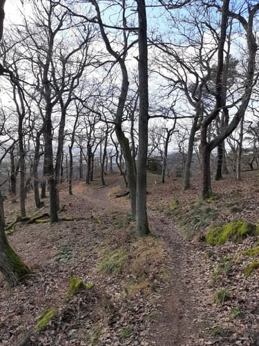Eisenweg