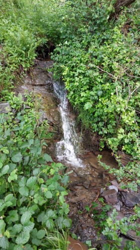 Dortebachtal Rundwanderung