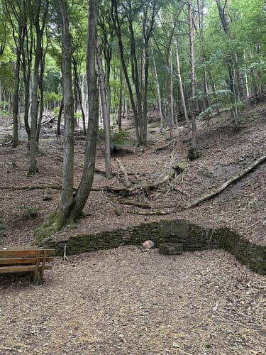 Hambacherschloss über Nollenkopf
