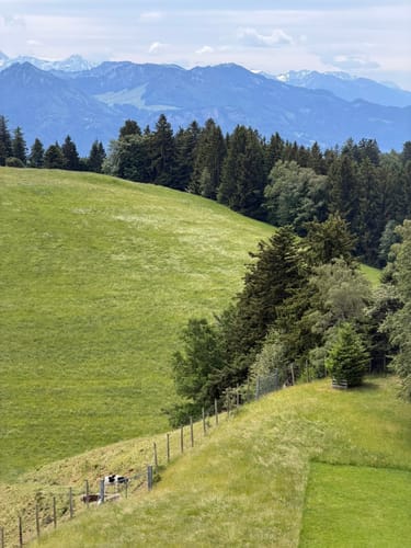 Pfänderbahn – Fluh - Gebhardsberg - Bregenz
