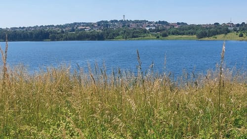 Seen-Rundweg Borken