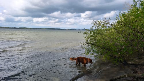 Um den Vierersee bei Bosau