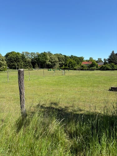 Aus Werder um den Glindower See