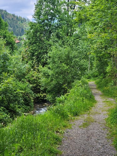 Haushaldenweg Todtmoos