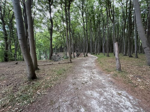 Hochuferweg Jasmund