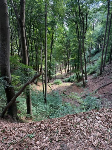 Hochuferweg Jasmund