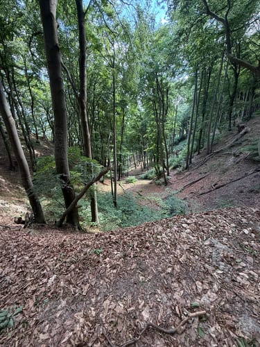 Hochuferweg Jasmund