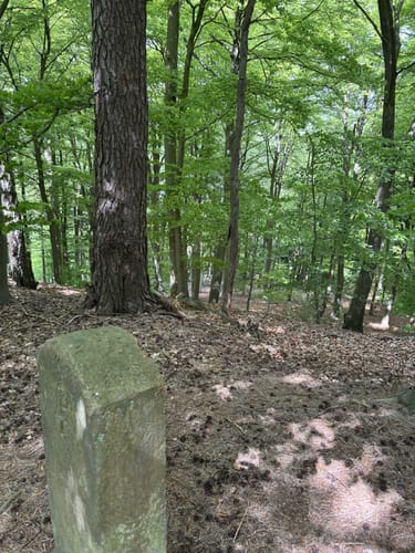 Bad Iburg und Lienenerberg Rundweg im Teutoburger Wald