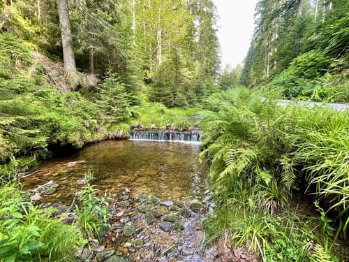 Zum Sankenbachwasserfall