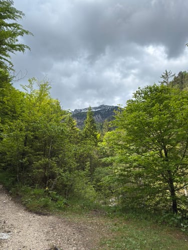 Speickschlucht zum Freimahderkopfl