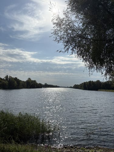 Elfrather See