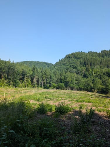 Heinerscheid - Dasburg