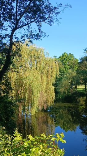 Um Bad Köstritz entlang der Weißen Elster