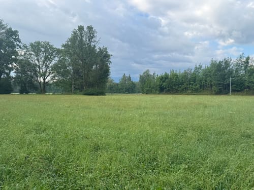 Salzachtal und Mirtergraben ab Freilassing