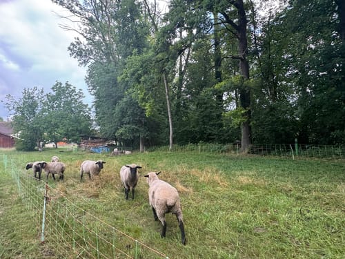 Salzachtal und Mirtergraben ab Freilassing