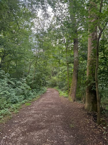 Salzachtal und Mirtergraben ab Freilassing