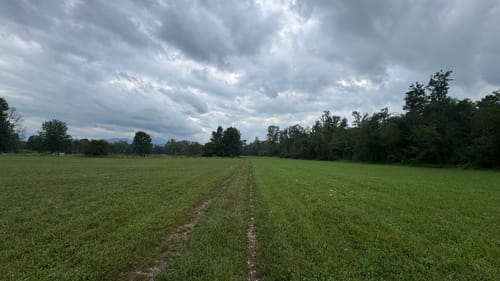 Salzachtal und Mirtergraben ab Freilassing