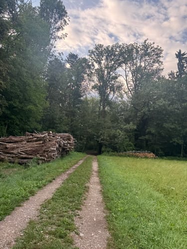 Salzachtal und Mirtergraben ab Freilassing