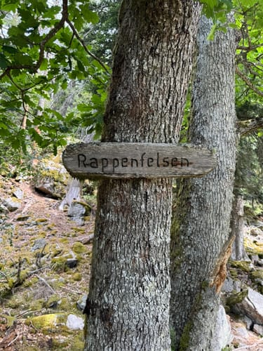Rappenfelsensteig (Genießerpfad)