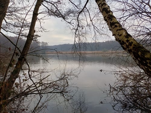 Niederkrüchten Mührather Hof: Zwei Seen Runde (alternativ)