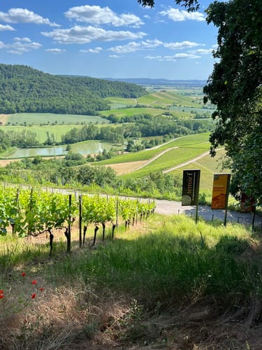 Rundwanderweg Waldläufer ab Handthal