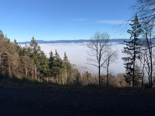 Zum Brandeckkopf-Gipfel entlang des Brandeckbächle
