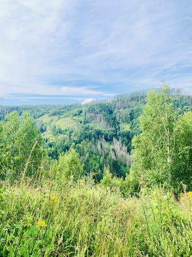 Steinerne Renne - Taufstein