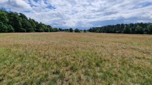 Im Tal der Haverbeeke: Zum Alfred-Toepfer-Blick