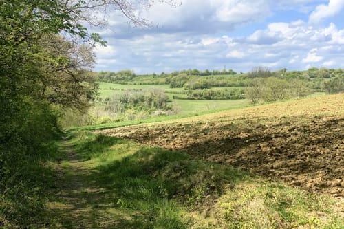 Natura Trail Mandelbachtal