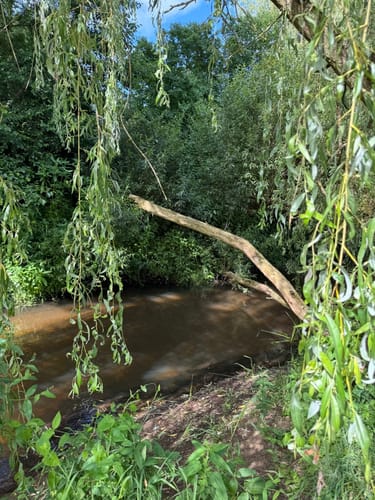Nordpfad Rotenburger Wasserreich