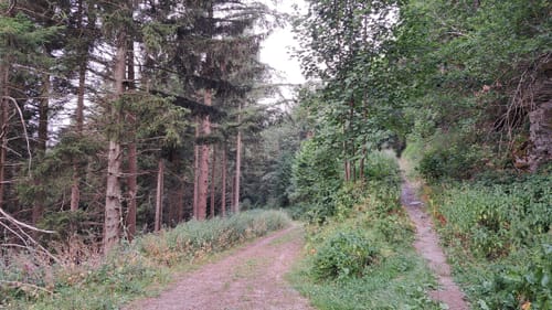 Monschau-Rurtal-Rundweg 35