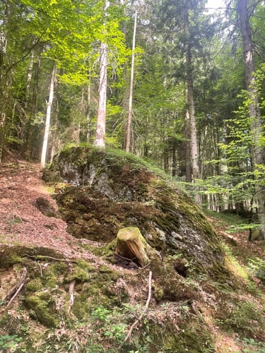 Rimbach - Burgruine Lichteneck