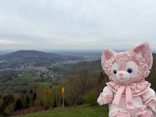 Merkur via Fuchsweg
