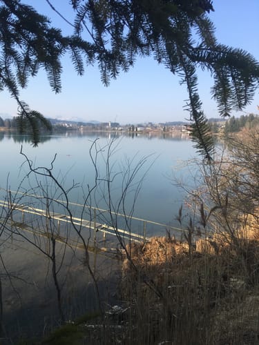 Lechsee Rundweg