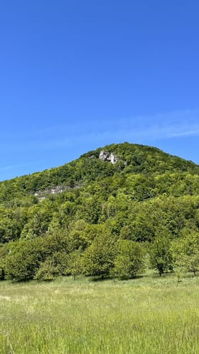 Panoramaweg Happburger Stausee