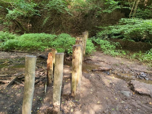 Höhlen- und Schluchtensteig Kell (Traumpfad) [CLOSED]