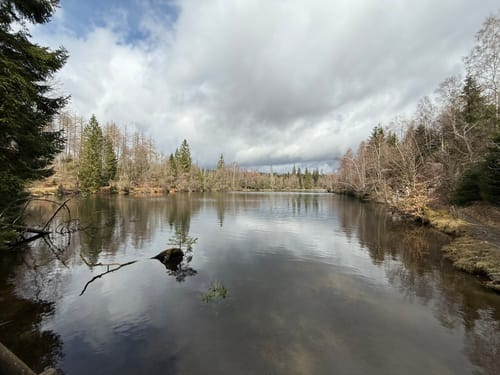 Blick ins romantische Odertal
