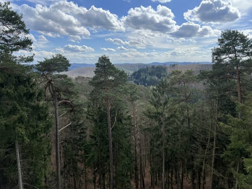 Lemberger Flößertour (Premiumwanderweg)