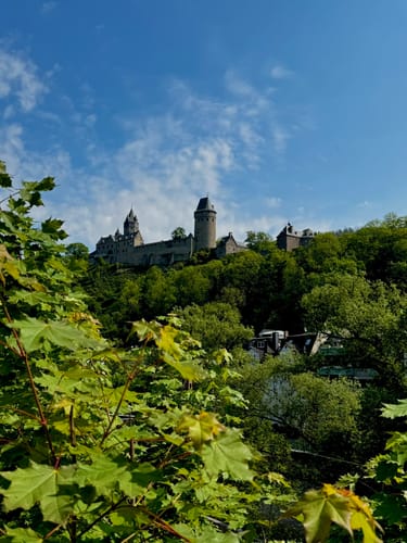 [A2] Um den Tiergarten